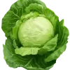 cabbage